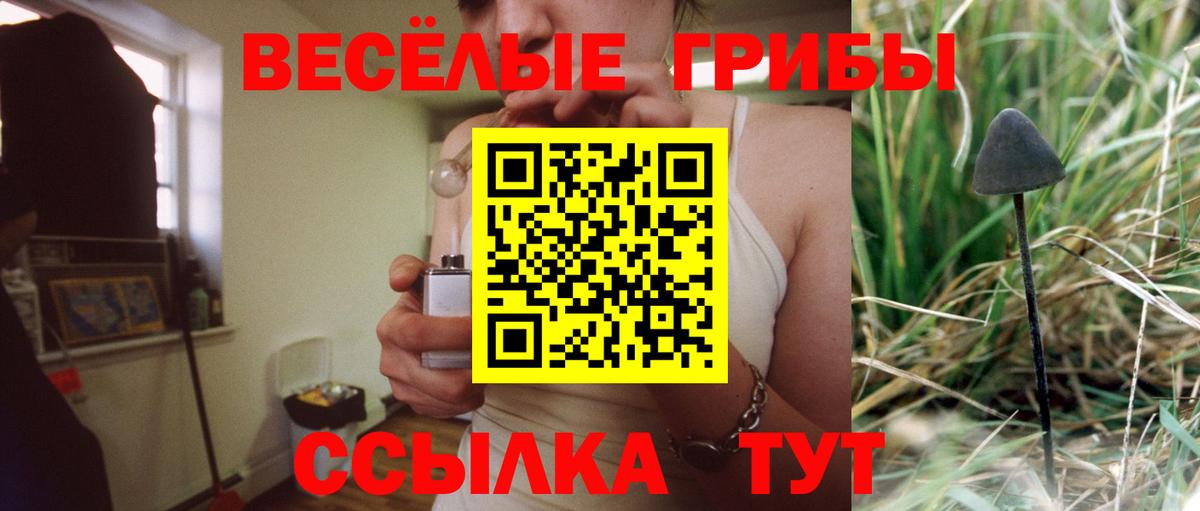 Галлюциногенные грибы мухоморы  Псилоцибиновые грибы GOLDEN TEACHER  Павлово  Вход с VPN 