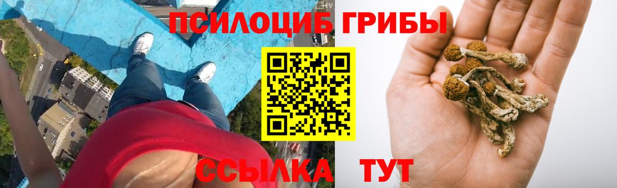 МДМА Павлово